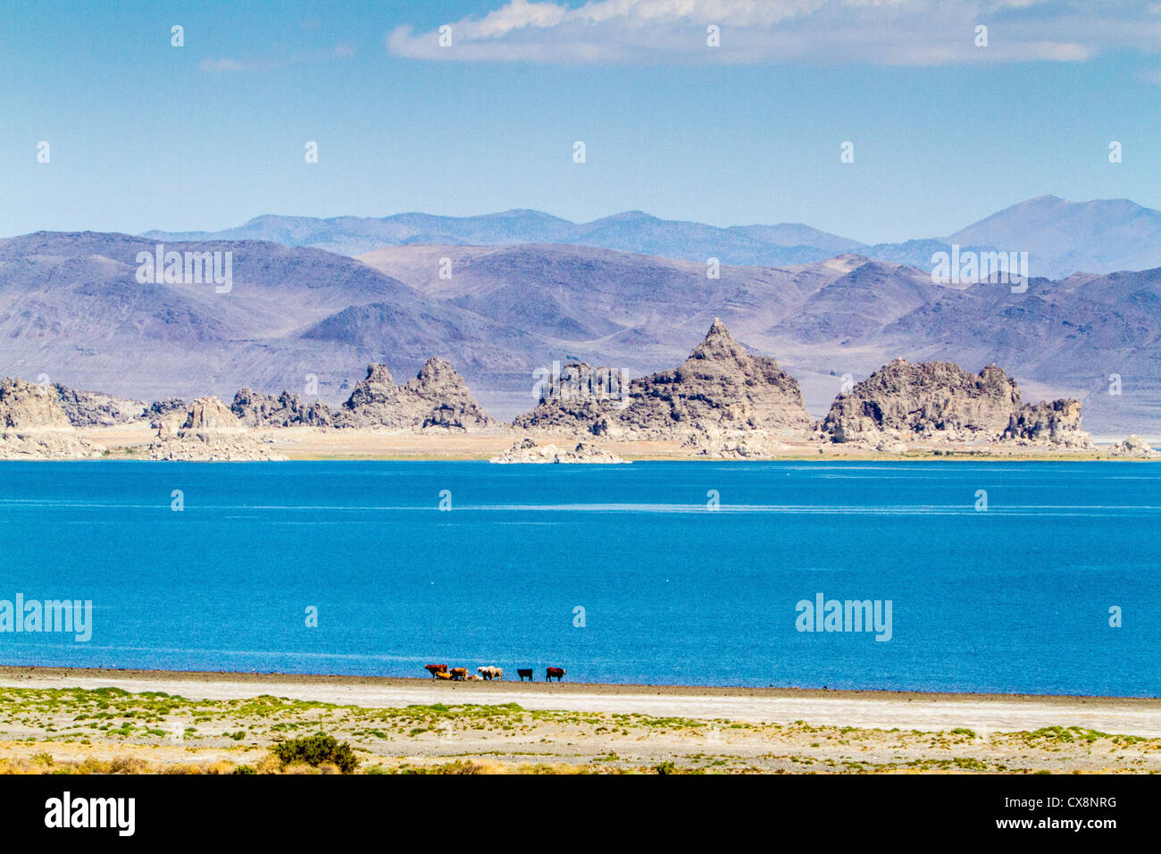 Scenes at Pyramid Lake in Northern Nevada on the Pyramid Lake Pauite