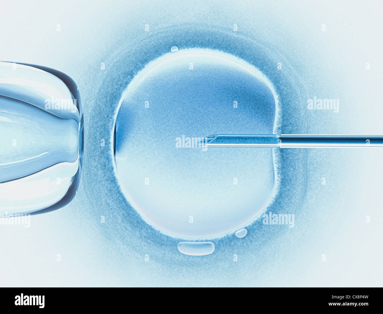 Concept of artificial insemination in vitro. Stock Photo