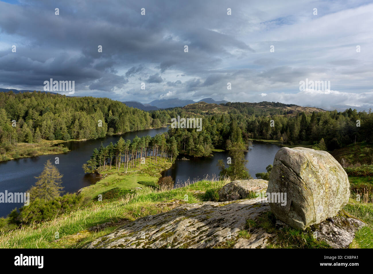 Panoramic view over Tarn Hows in English Lake District Stock Photo