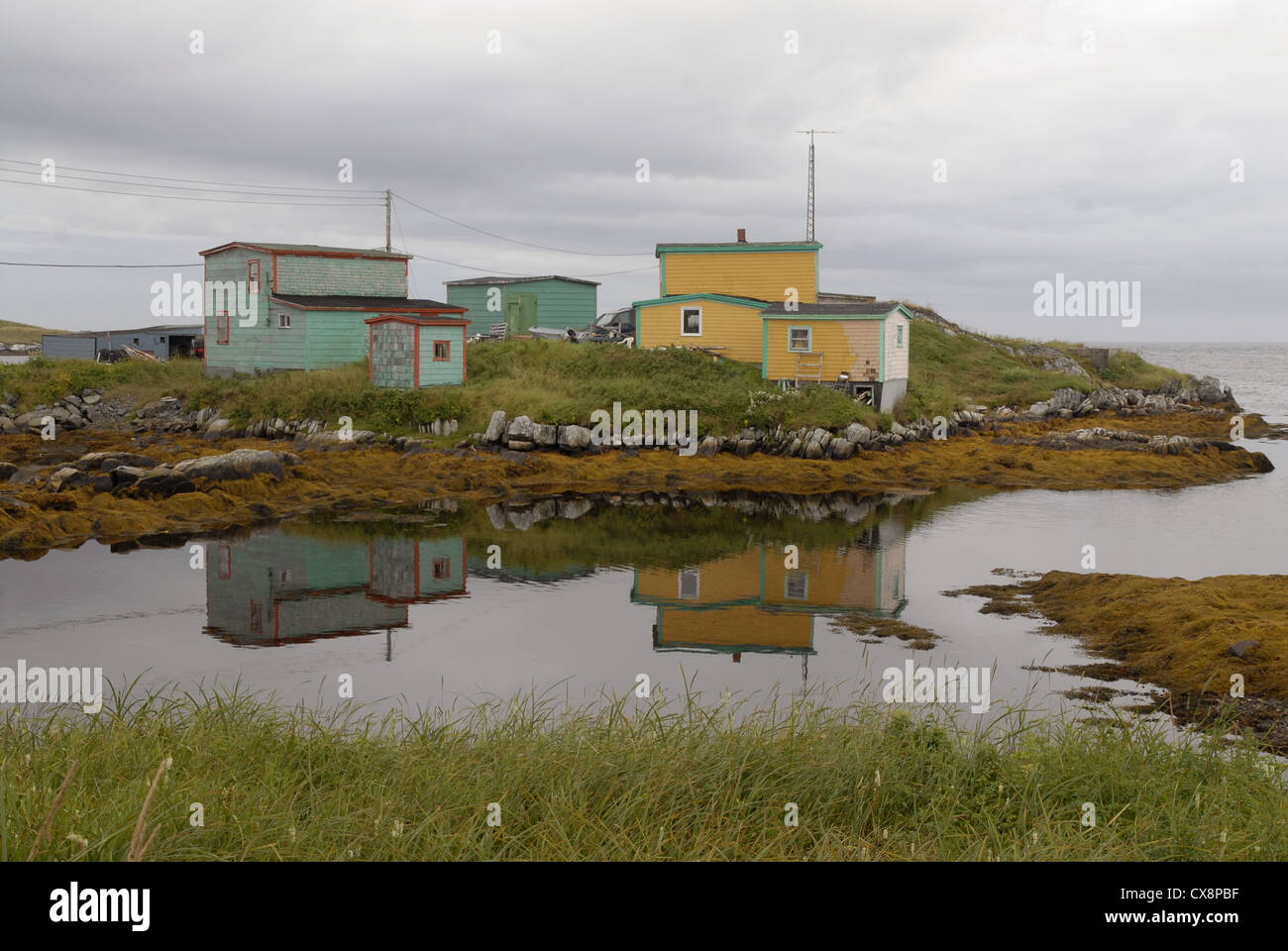 Rose blanche hires stock photography and images Alamy