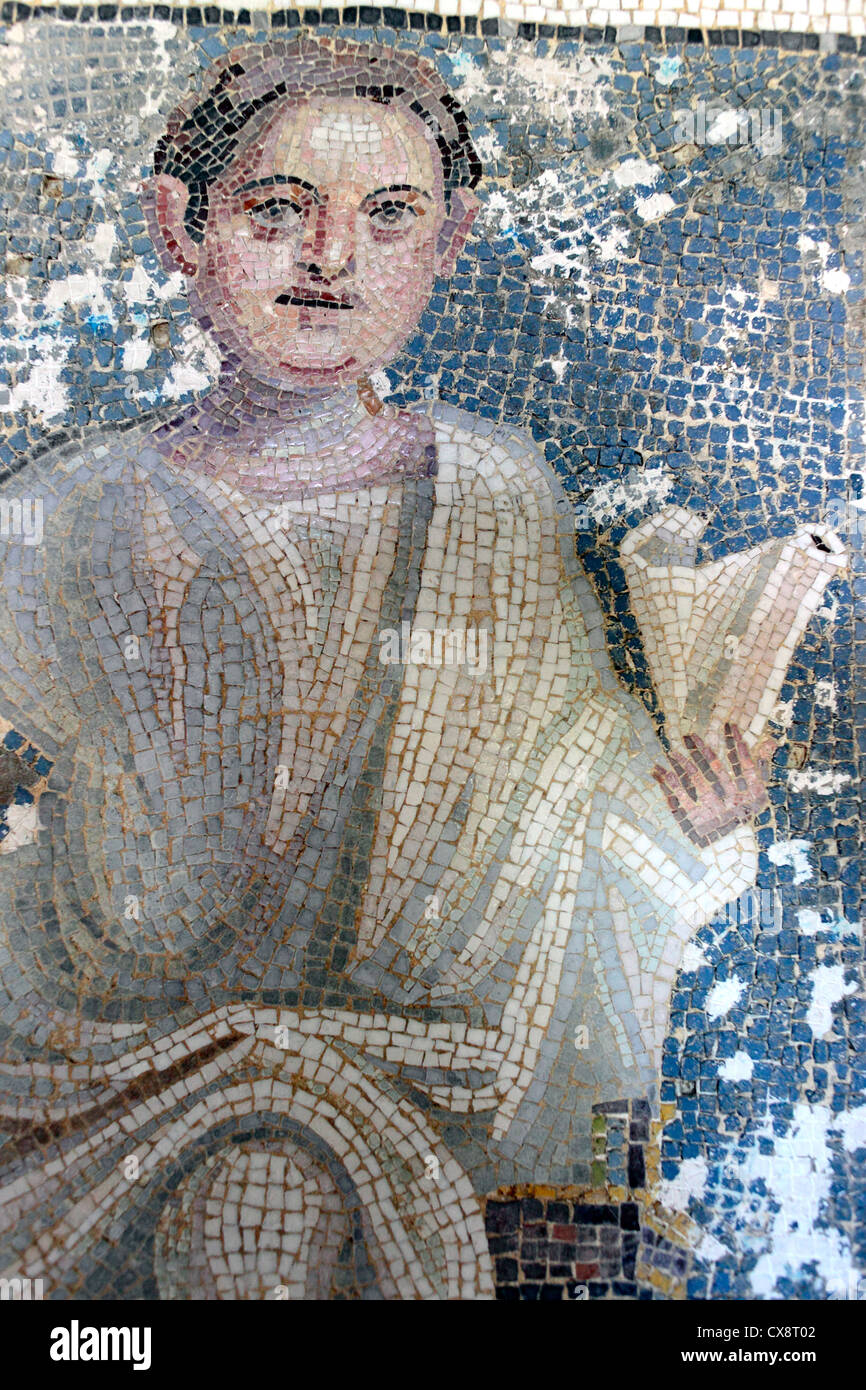Mosaic (3rd century), archaeological museum, Split, Dalmatia, Croatia Stock Photo