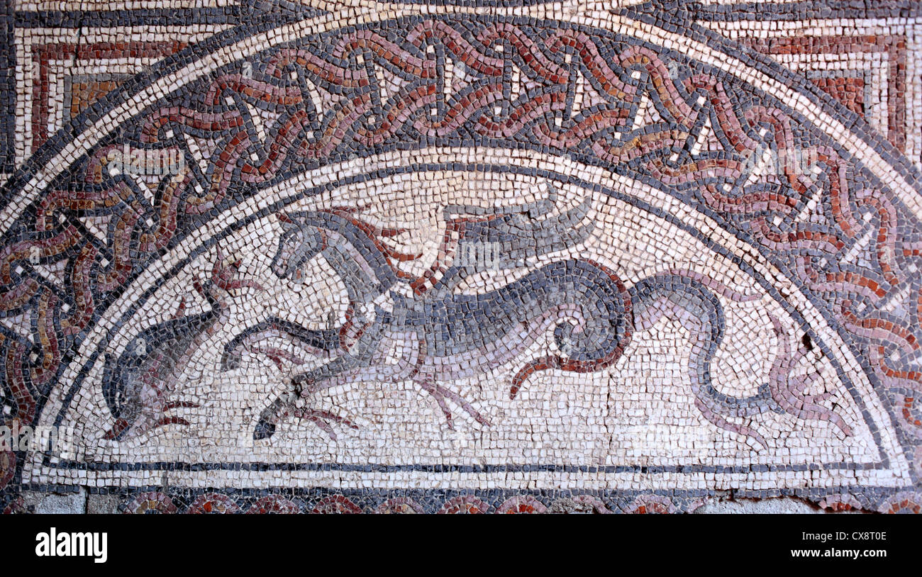 Mosaic with sea horse (3rd century), archaeological museum, Split, Dalmatia, Croatia Stock Photo