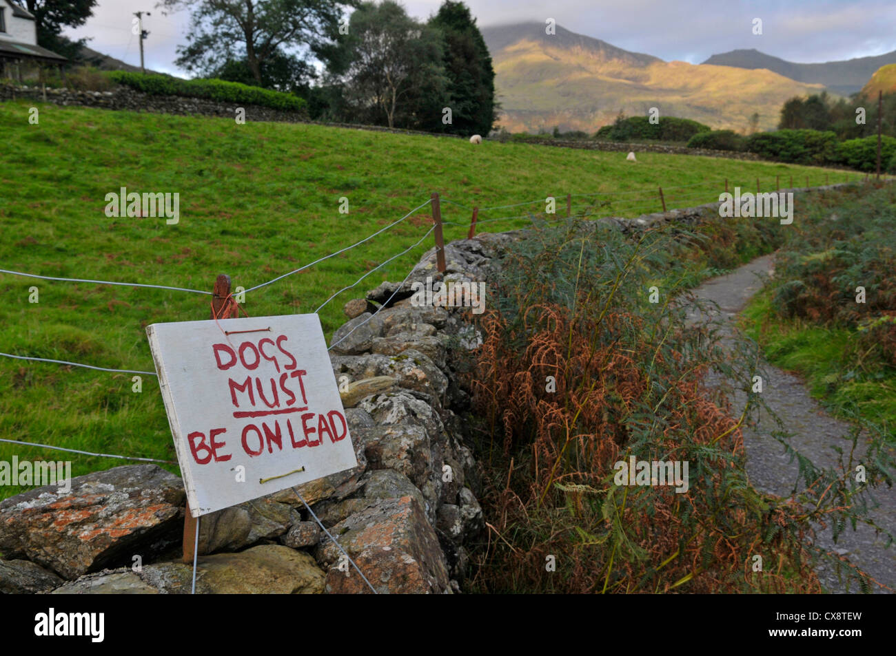 'Dogs must be on a lead' sign. Snowdonia, Wales, Stock Photo