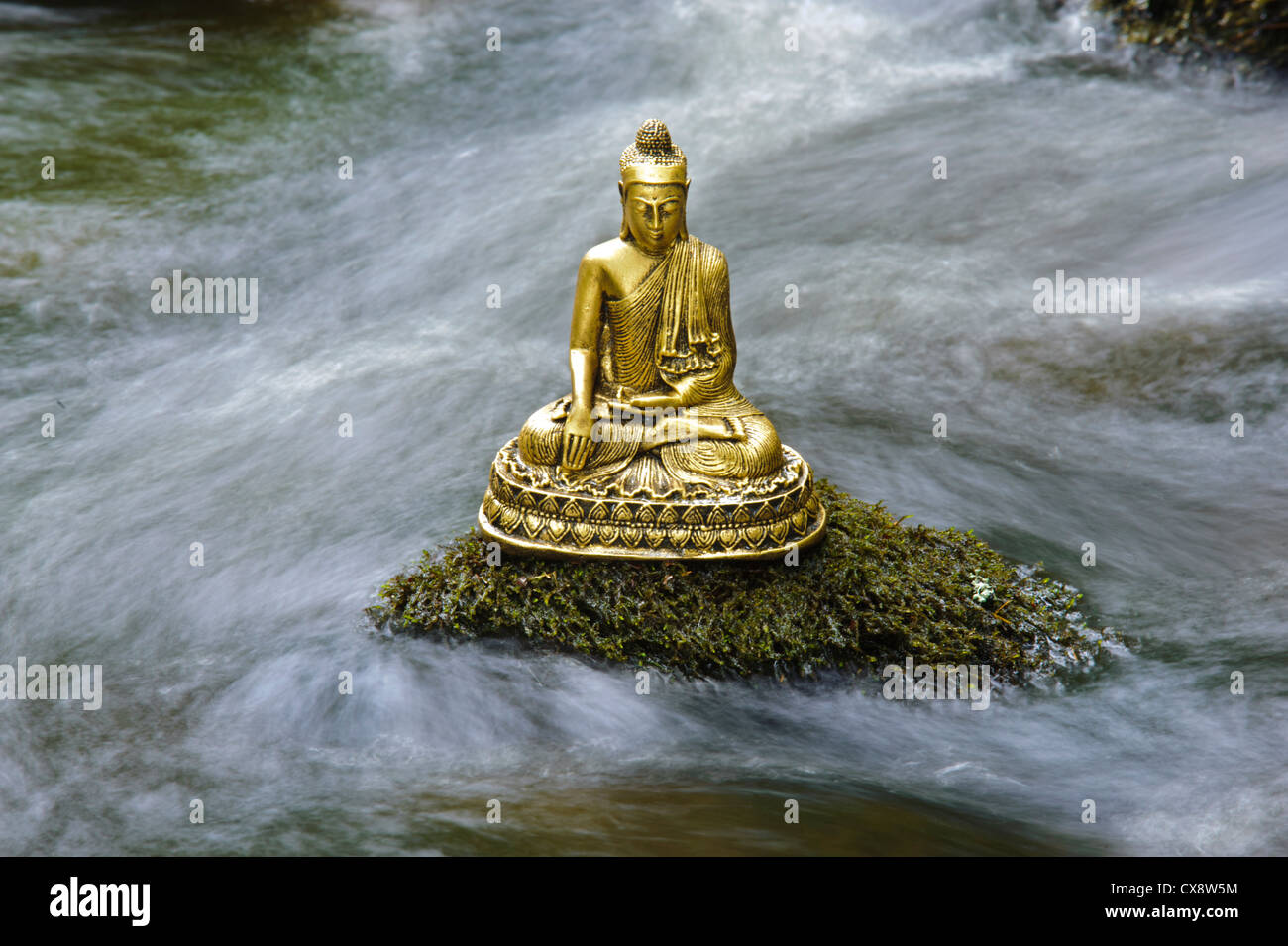 Gautam Buddha Statue In Water