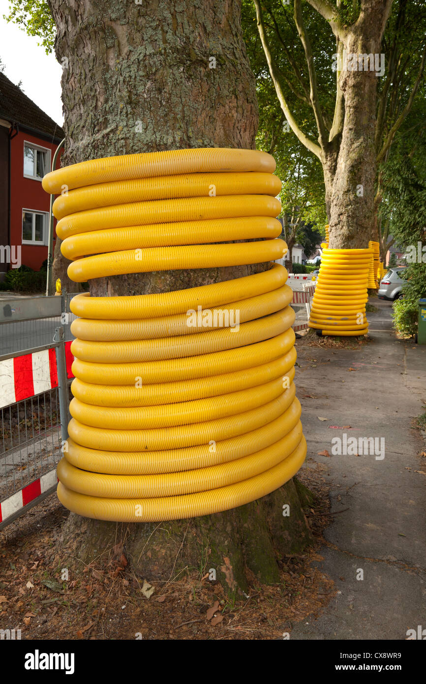 Protection of a tree Stock Photo Alamy