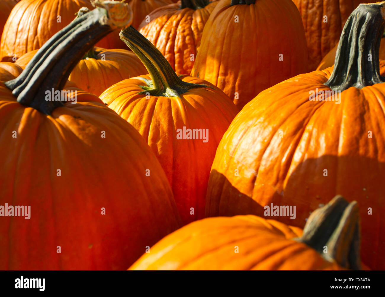 Pumpkins on display at a farm stand Stock Photo - Alamy