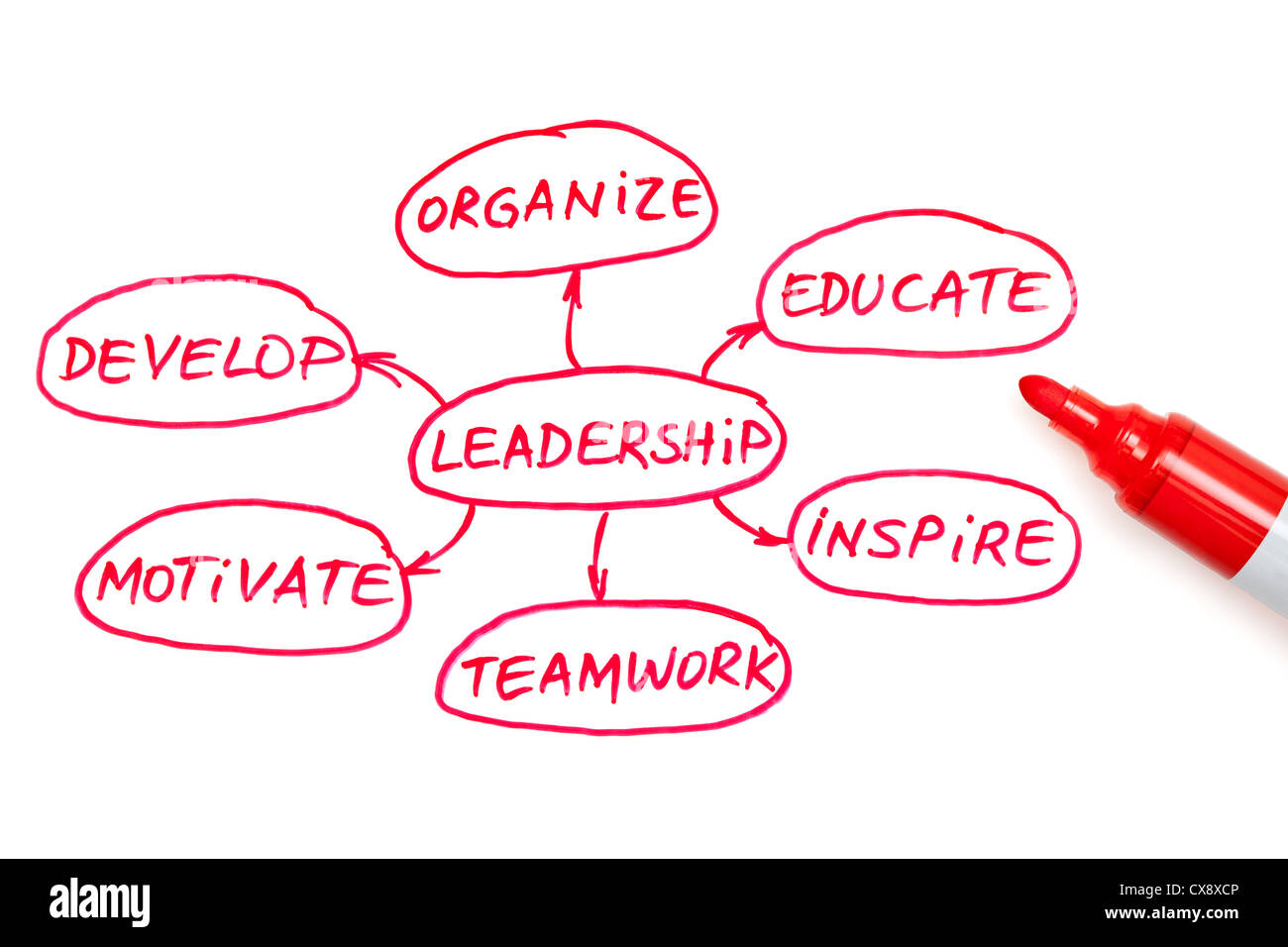 Leadership flow chart written with red marker on white board Stock Photo