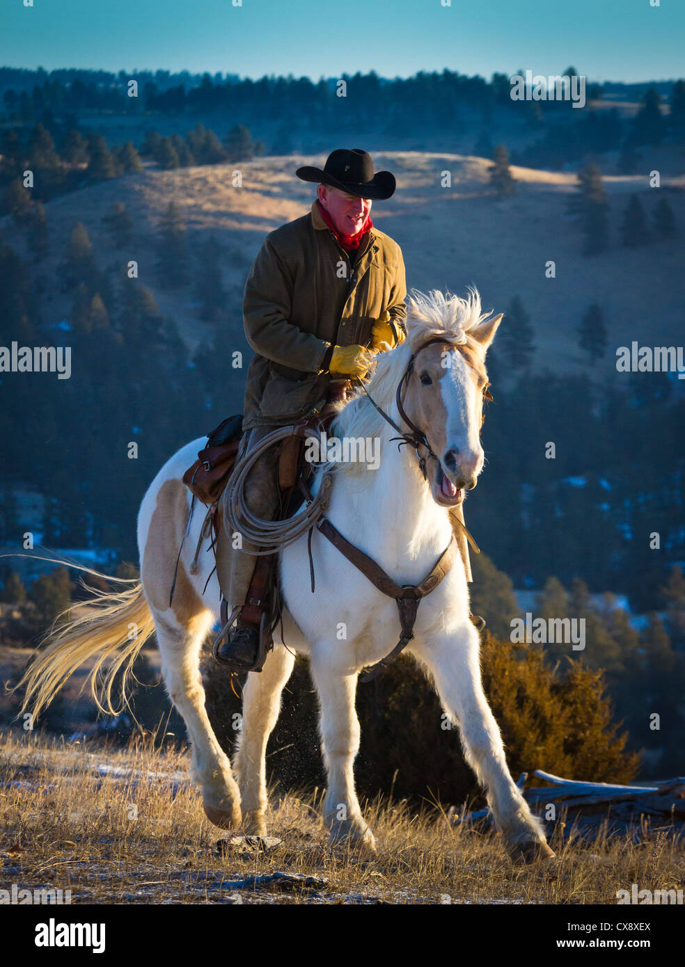 Cowboy on his horse on a ranch in northeastern Wyoming Stock Photo