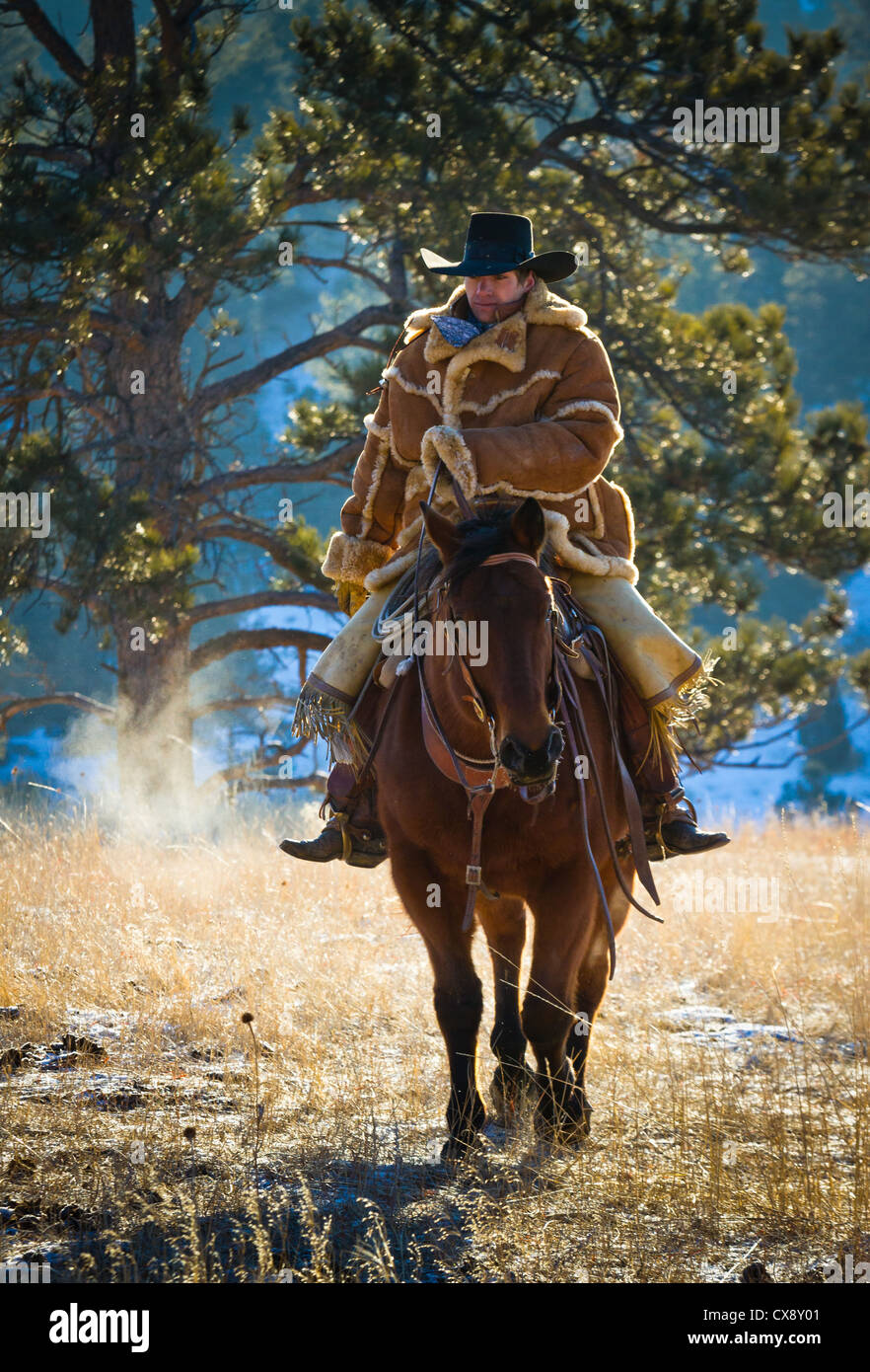 Cowboy on his horse on a ranch in northeastern Wyoming Stock Photo