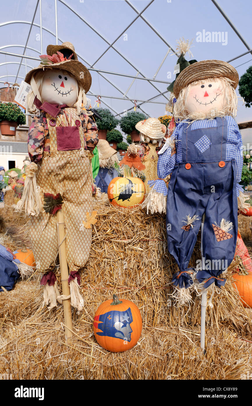 Halloween scarecrows on display in a country market Stock Photo Alamy