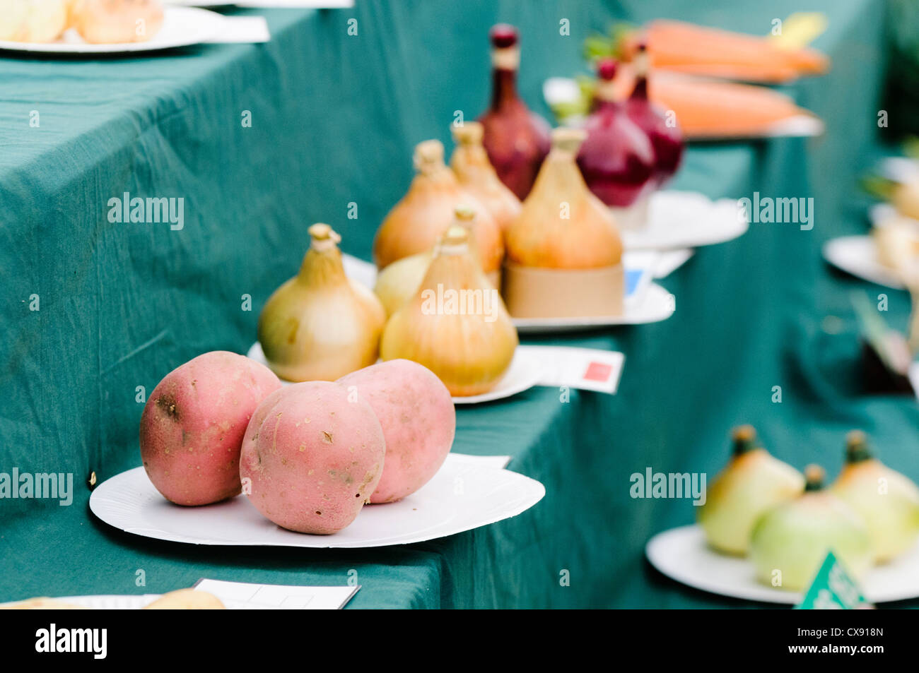 Vegetable growing competition hires stock photography and images Alamy