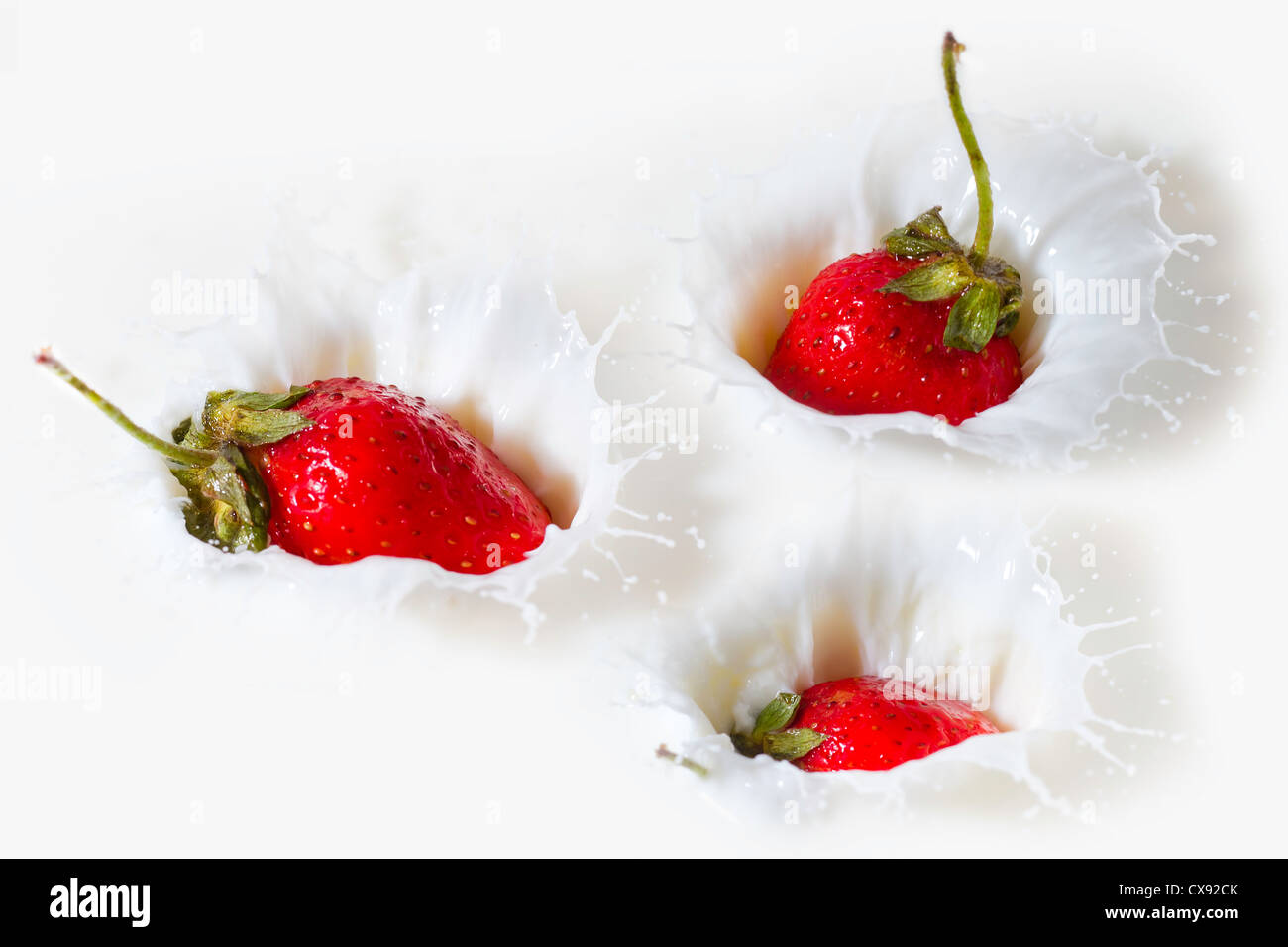 Strawberries falling into milk or cream and splashing Stock Photo