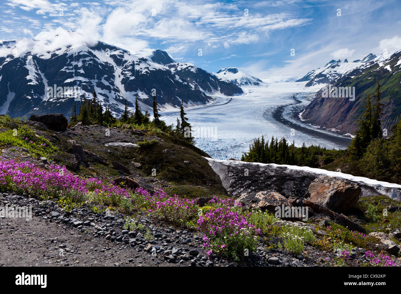 White salmon glacier hi-res stock photography and images - Alamy