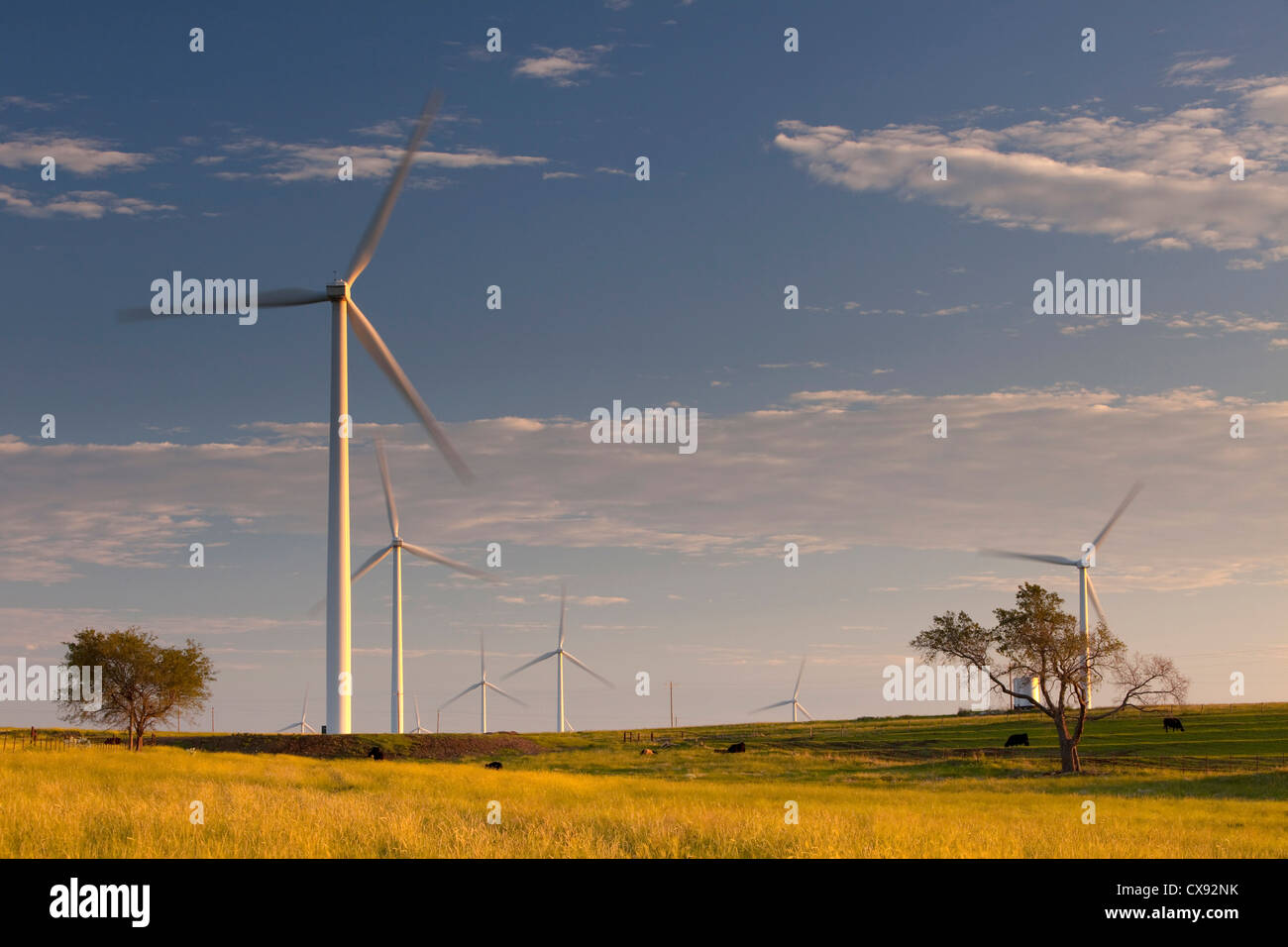 A group of wind turbines in west Texas seen at sunrise Stock Photo Alamy