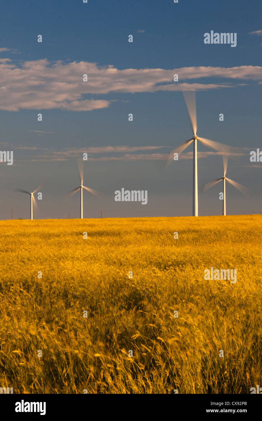 A group of wind turbines in west Texas seen at sunrise Stock Photo Alamy