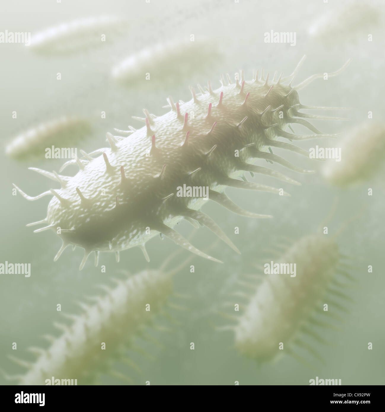 Infectious bacteria closely. Concept of disease transmission and ...
