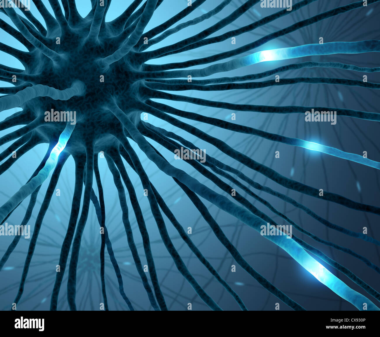 Granule Nerve Cell High Resolution Stock Photography and Images - Alamy