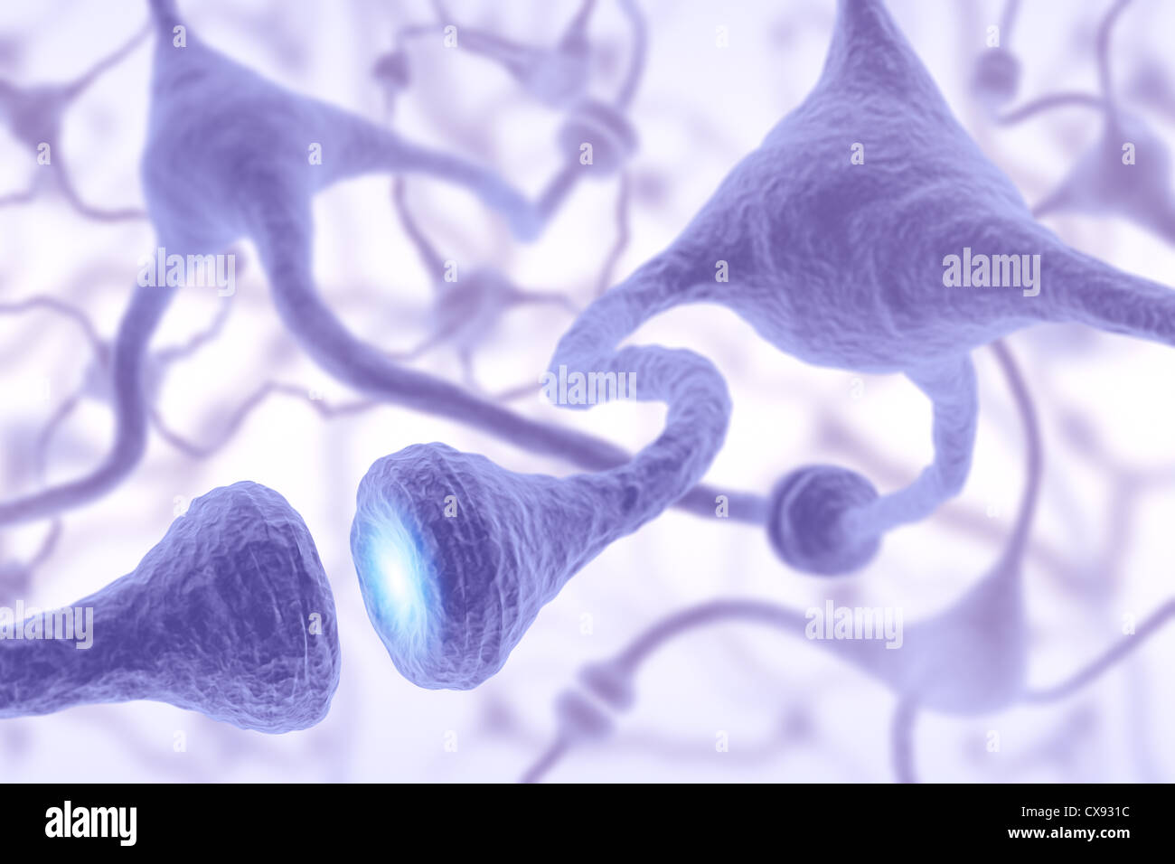 Granule Nerve Cell High Resolution Stock Photography and Images - Alamy