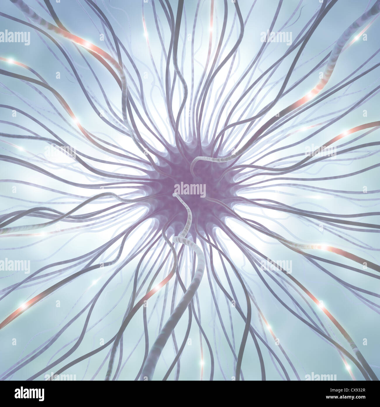 Granule Nerve Cell High Resolution Stock Photography and Images - Alamy