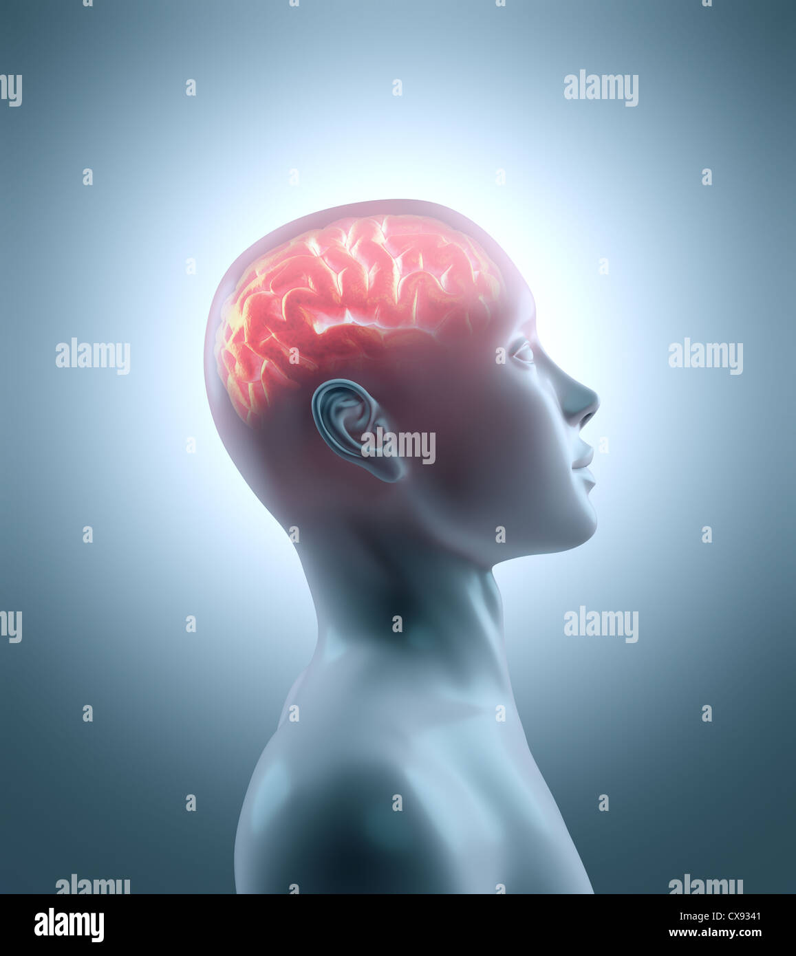Hot brain in a cold body. Concept of technology, cyborg, brainstorm and intelligence Stock Photo
