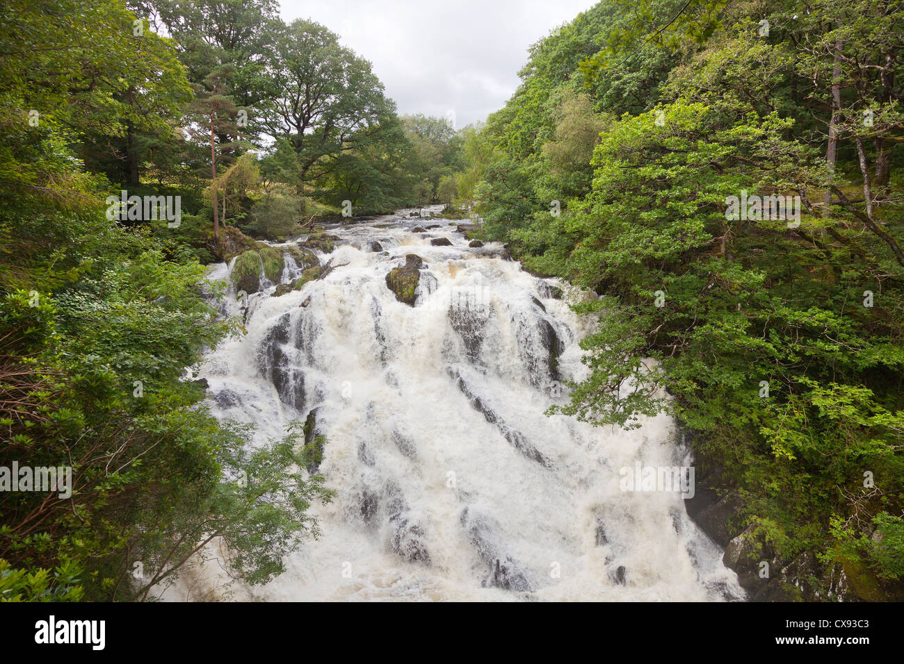 Swallow Falls, waterfall, Betws-y-Coed in Snowdonia, North Wales. UK Stock Photo