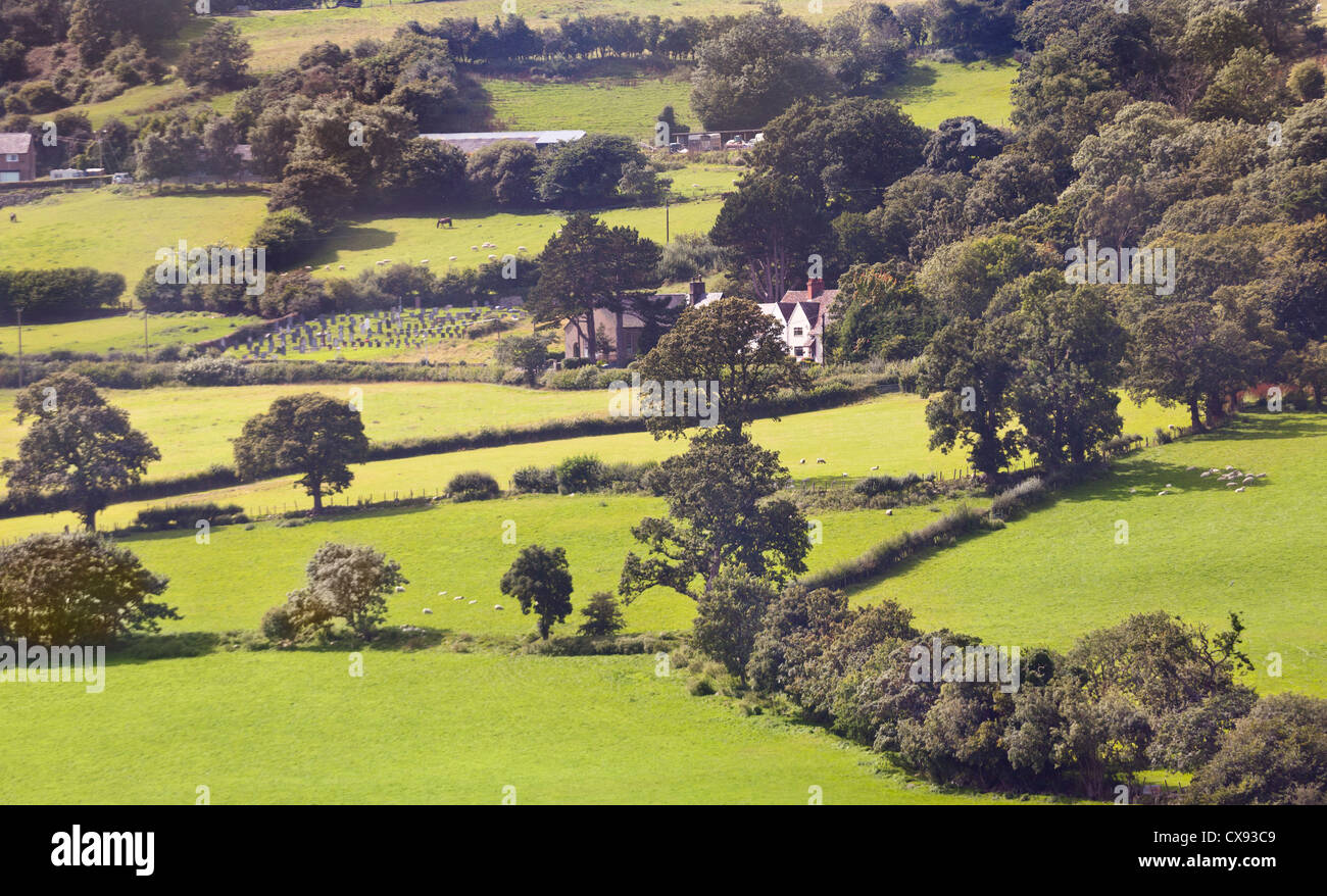 North wales hills vew of green pasture land with hedges hires stock
