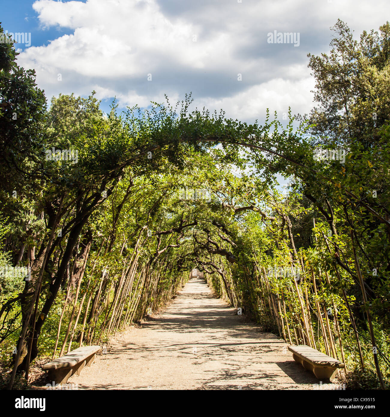 Florence, Italy. Old Boboli Gardens during a sunny day in summer season Stock Photo