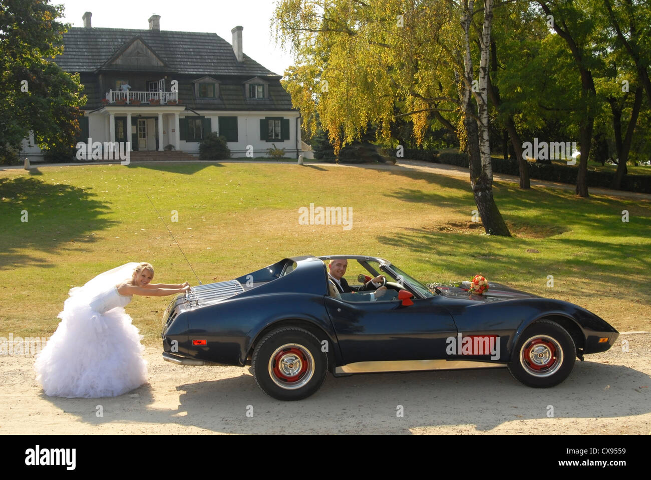 Picture bride and groom wedding Stock Photo - Alamy