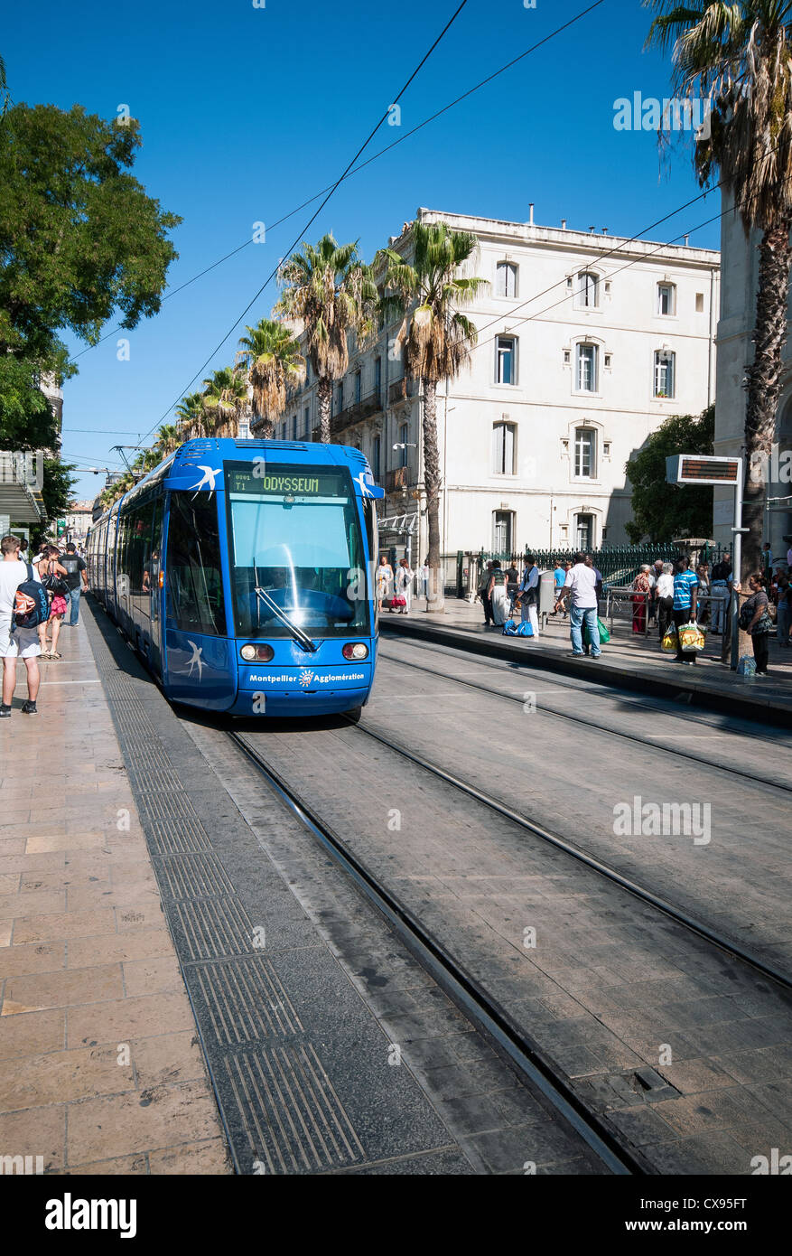 Modern tram travelling down Rue De Maguelone in Montpellier operated by the Transports de l'agglomération de Montpellier TAM. Stock Photo