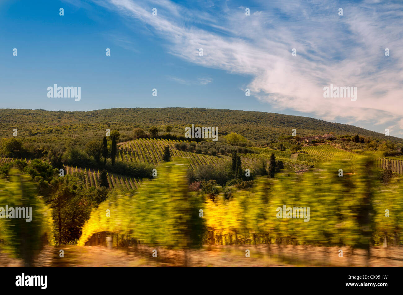 winegrowing tuscany Stock Photo
