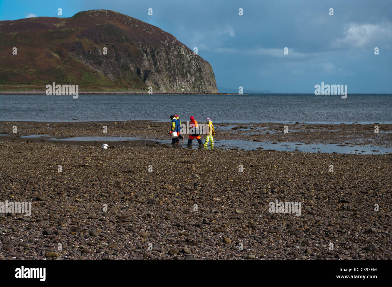 Cocklers On The Doirlinn leading Out To Davaar Island Argyll and Bute Scotland Stock Photo