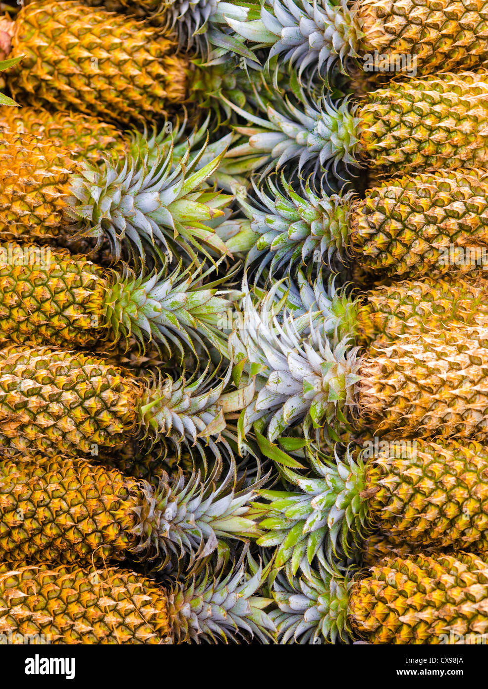 pineapple pile Stock Photo