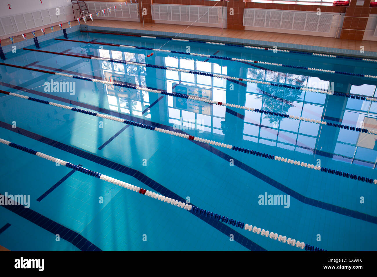 Empty new school swimming pool top view Stock Photo Alamy