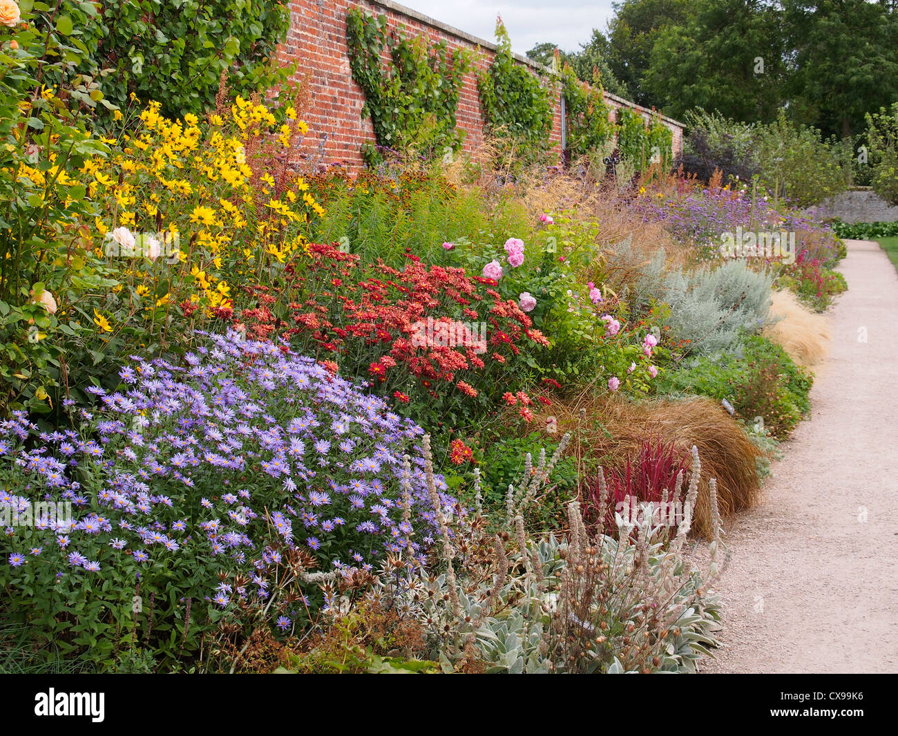 Fantastic colour from Walled garden at the National Trusts Wimpole Estate in Arrington, Royston, near Cambridge. Stock Photo