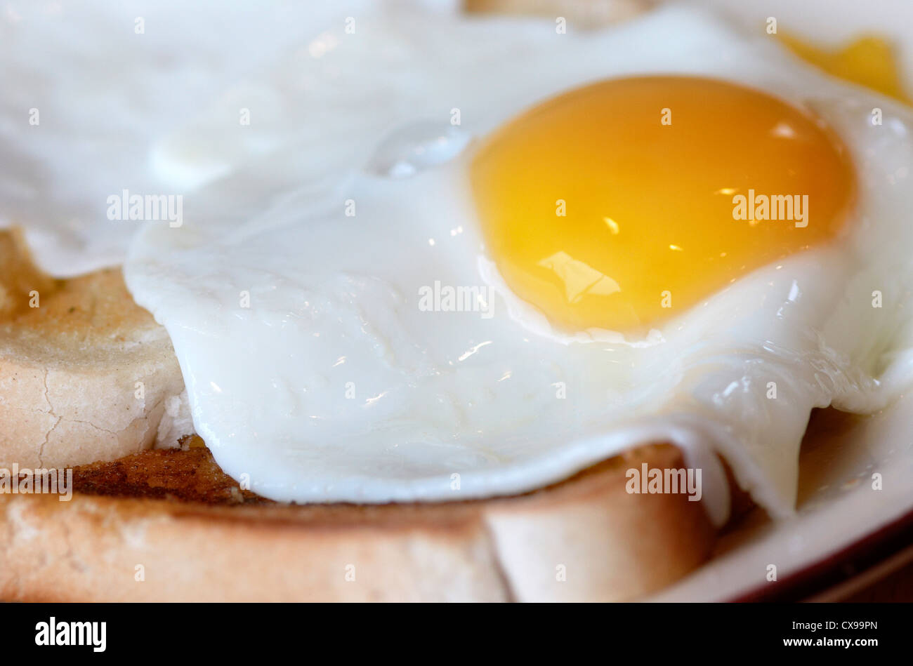 Fried Egg on Toast. Stock Photo