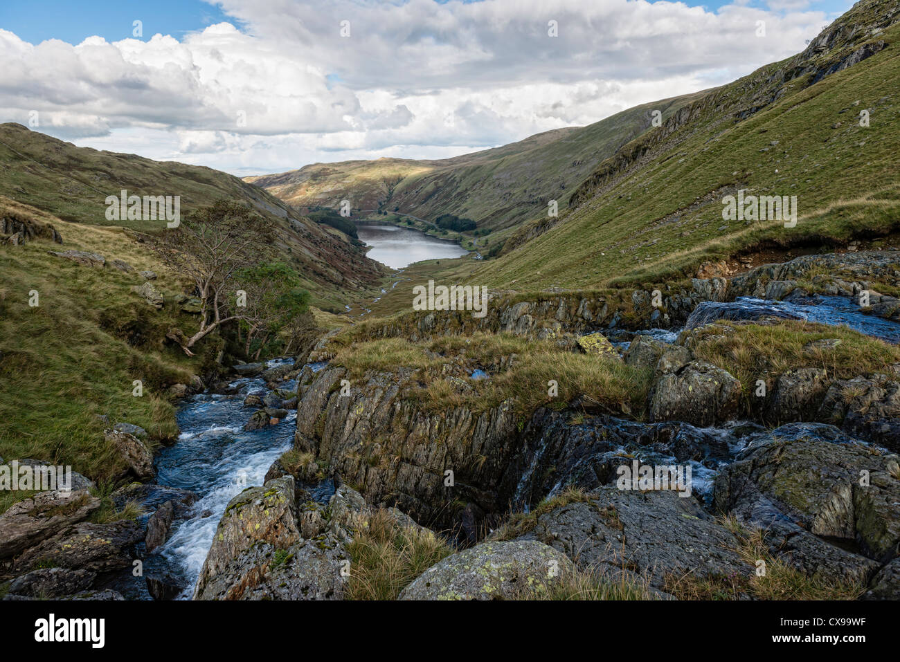 Remote Mountain Stream Stock Photo