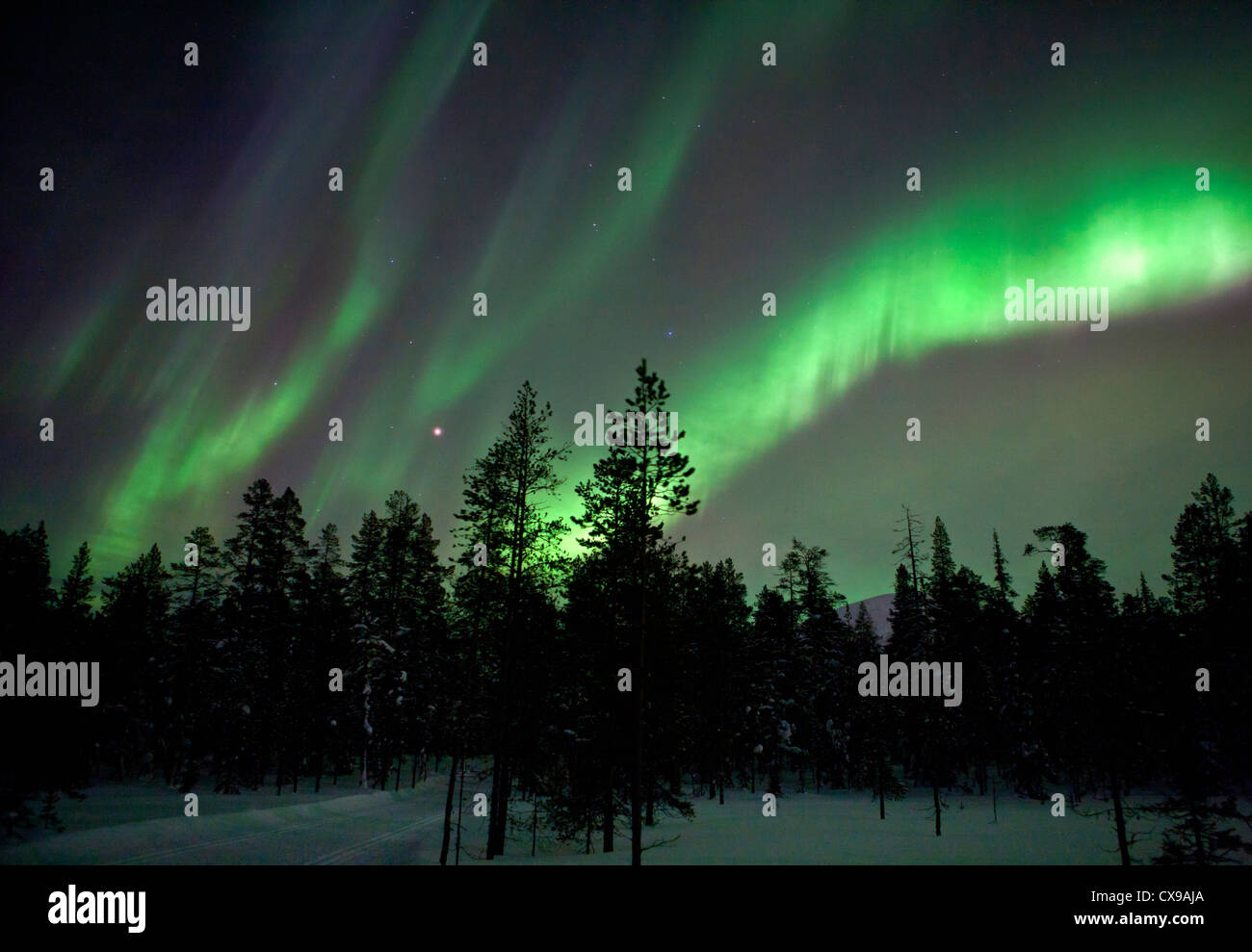 Northern lights or Aurora Borealis in northern Finland. Stock Photo
