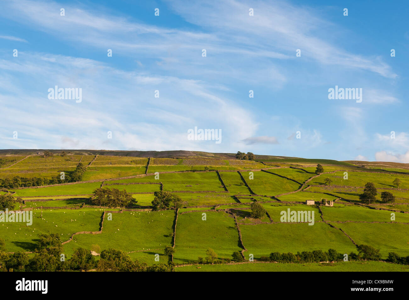 Low Row in Swaledale , Yorkshire Dales , England , Britain , Uk Stock Photo