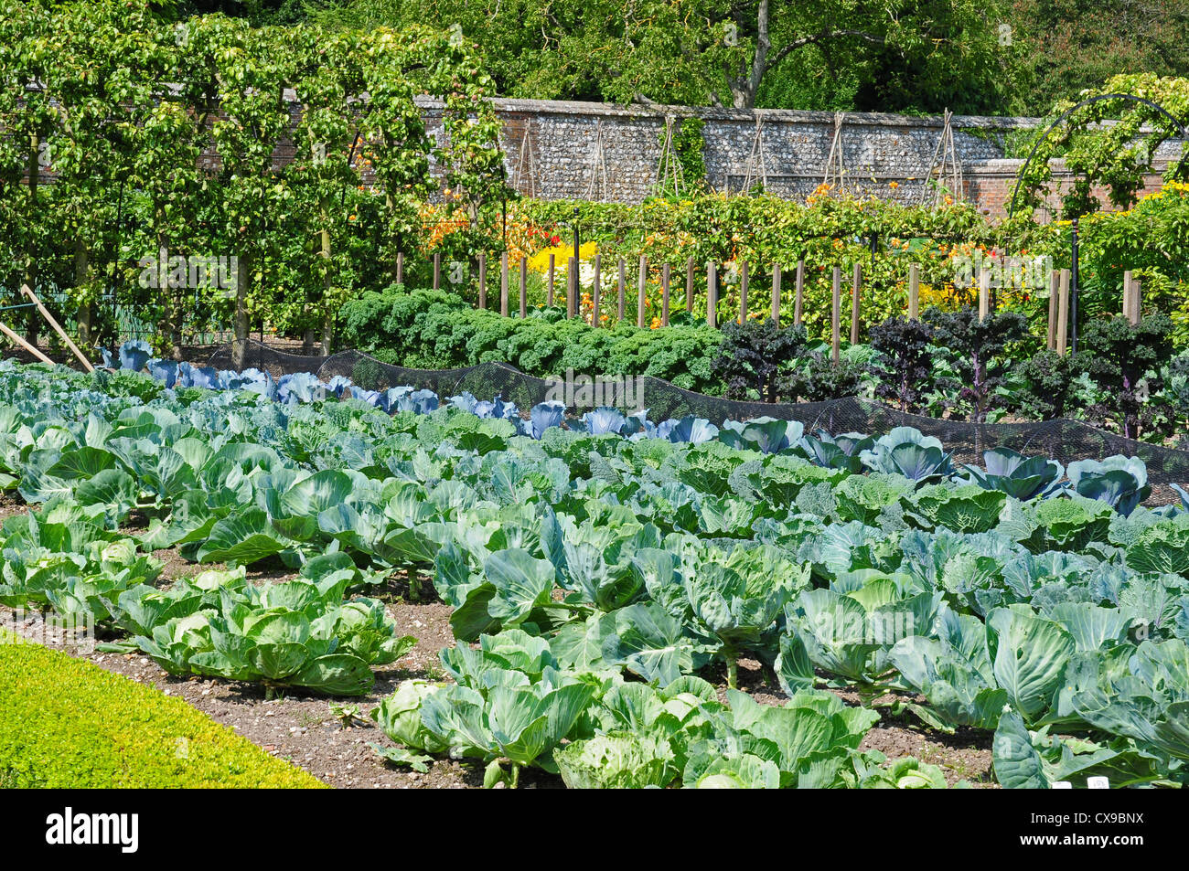 Part of the Vegetable Gardens at West Dean Gardens, Near Chichester West Sussex. Stock Photo