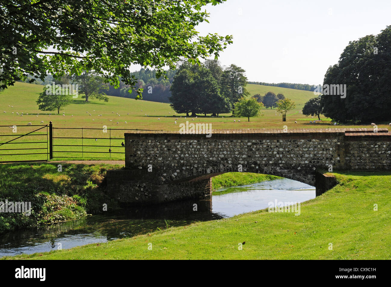 River Lavant from West Dean Gardens. Stock Photo