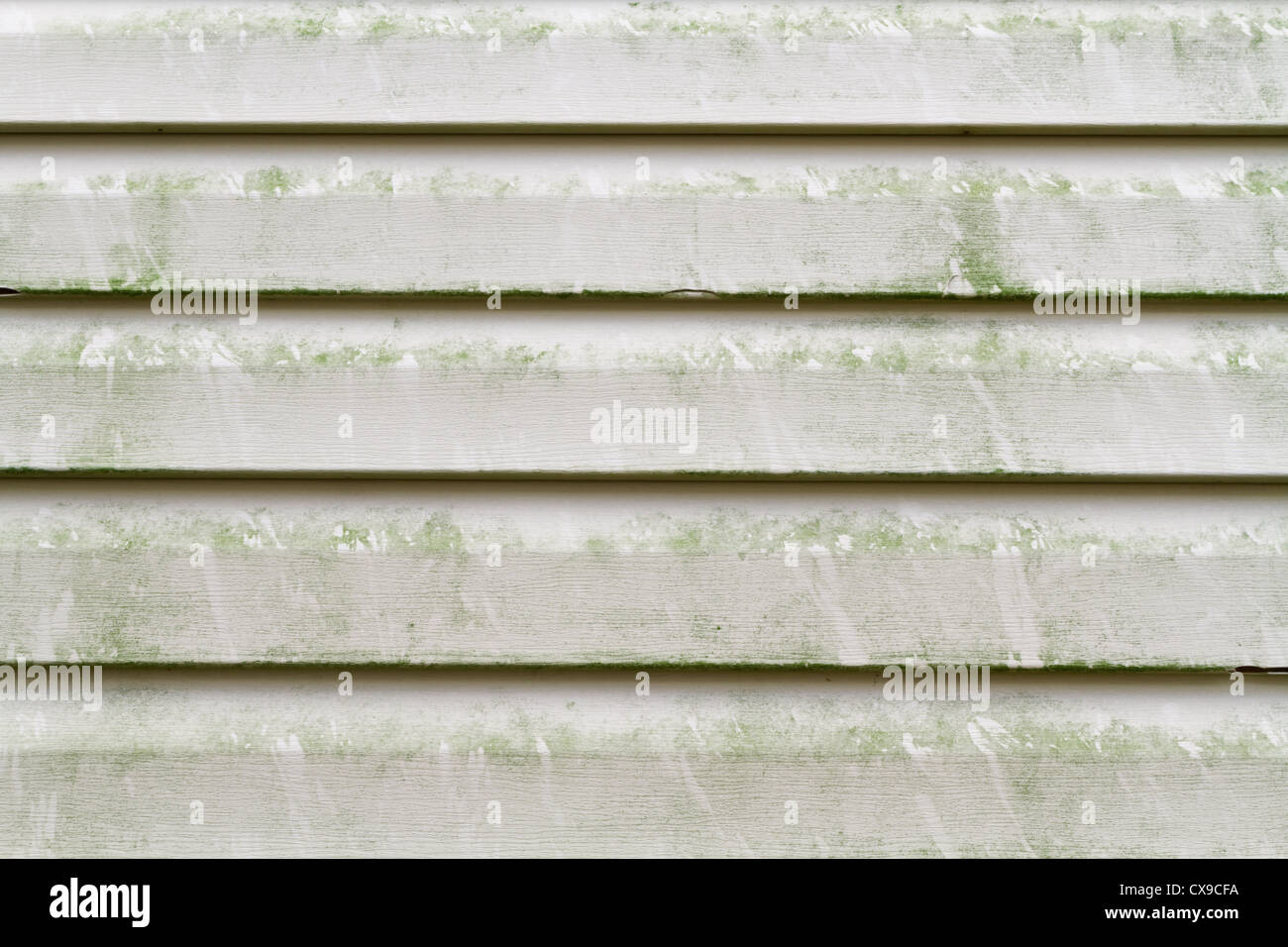 Green algae, mold, and dirty grime on a section of a residential homes' vinyl siding exterior. Removed by pressure washing it. Stock Photo