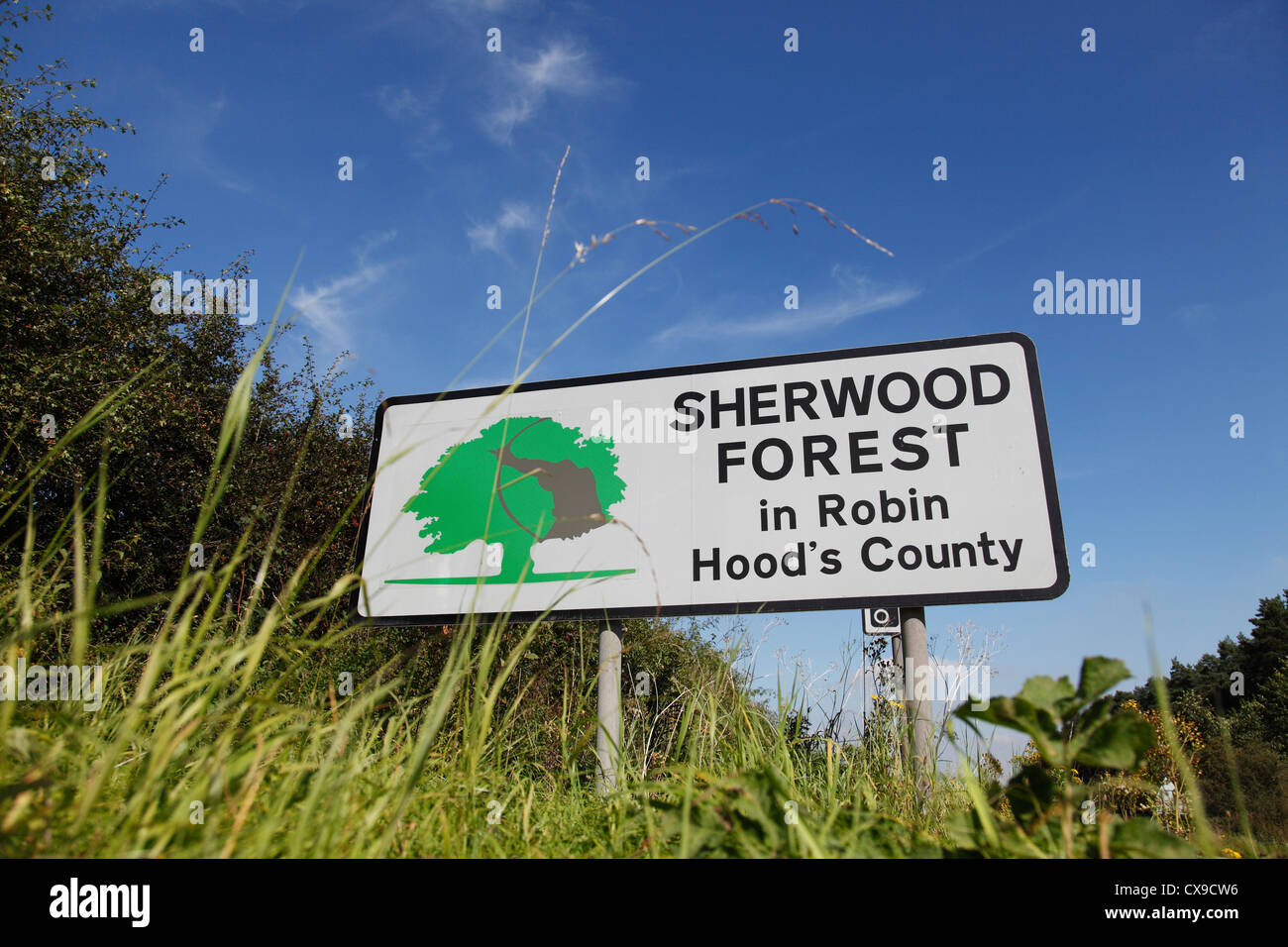 Sherwood forest england hires stock photography and images Alamy