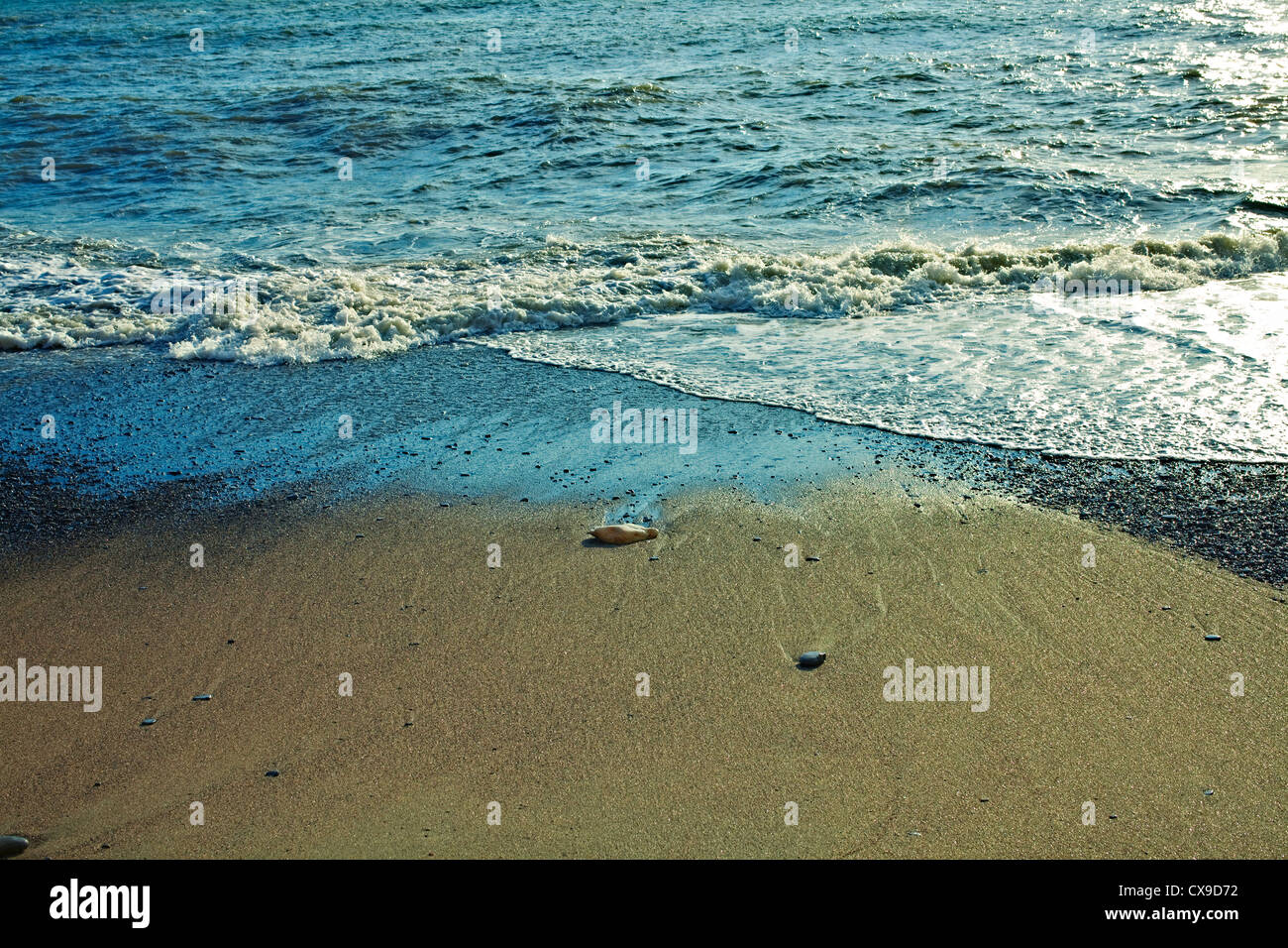 Sandy sea shore Stock Photo - Alamy