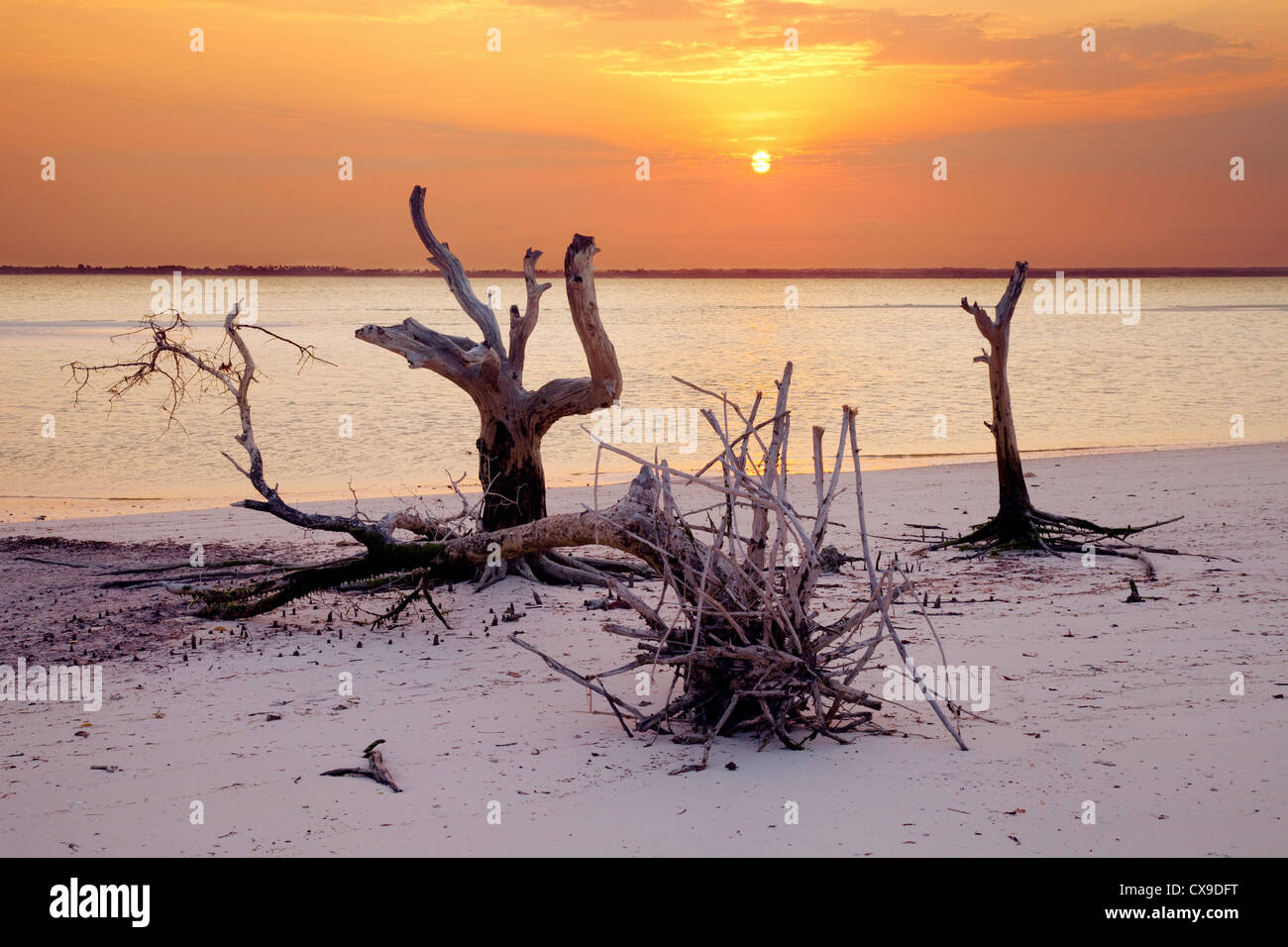 Sunset, Michamwi beach, Zanzibar Africa Stock Photo