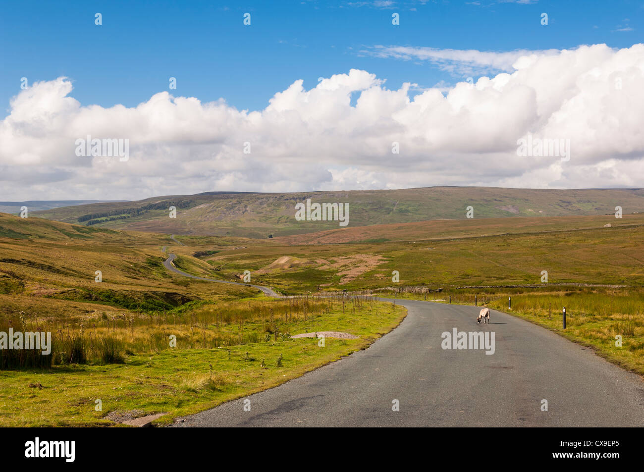 Countryside at Richmondshire , England , Britain , Uk Stock Photo