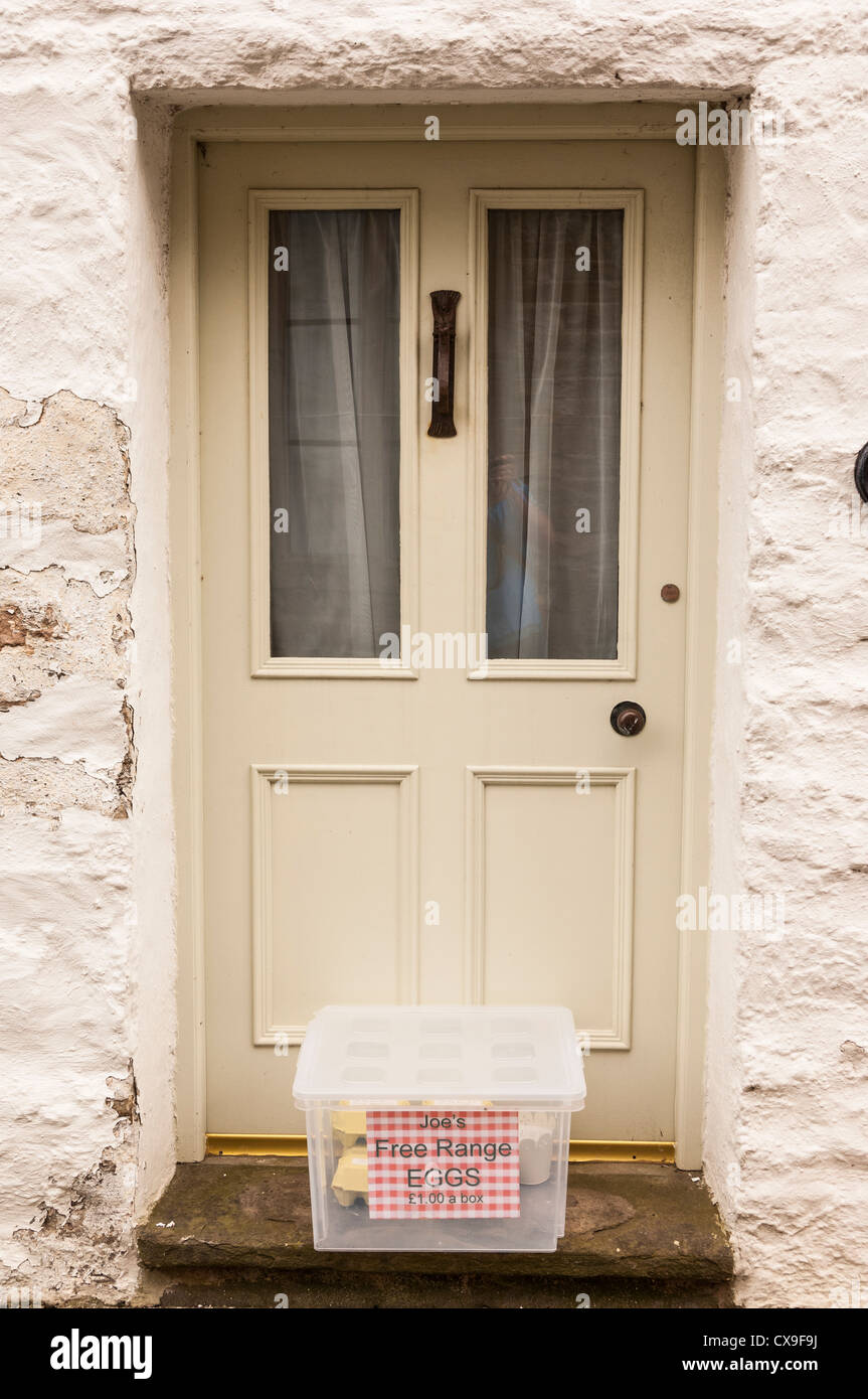 Free Range eggs for sale in the Uk Stock Photo