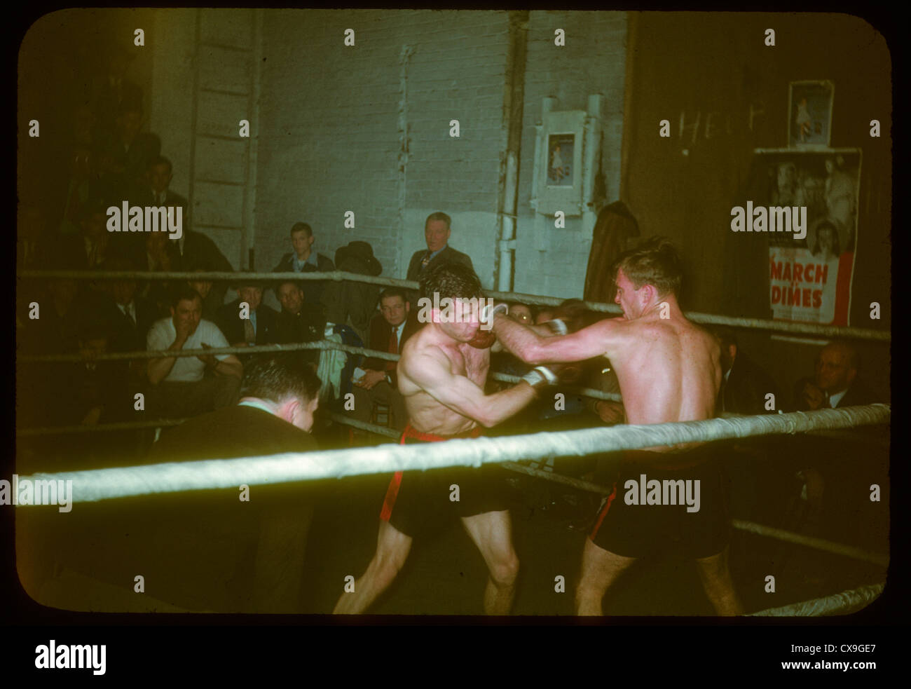 boxing match 1950 sports boxers landing blow punch color kodachrome fighters fighting fight ring audience crowd spectators Stock Photo