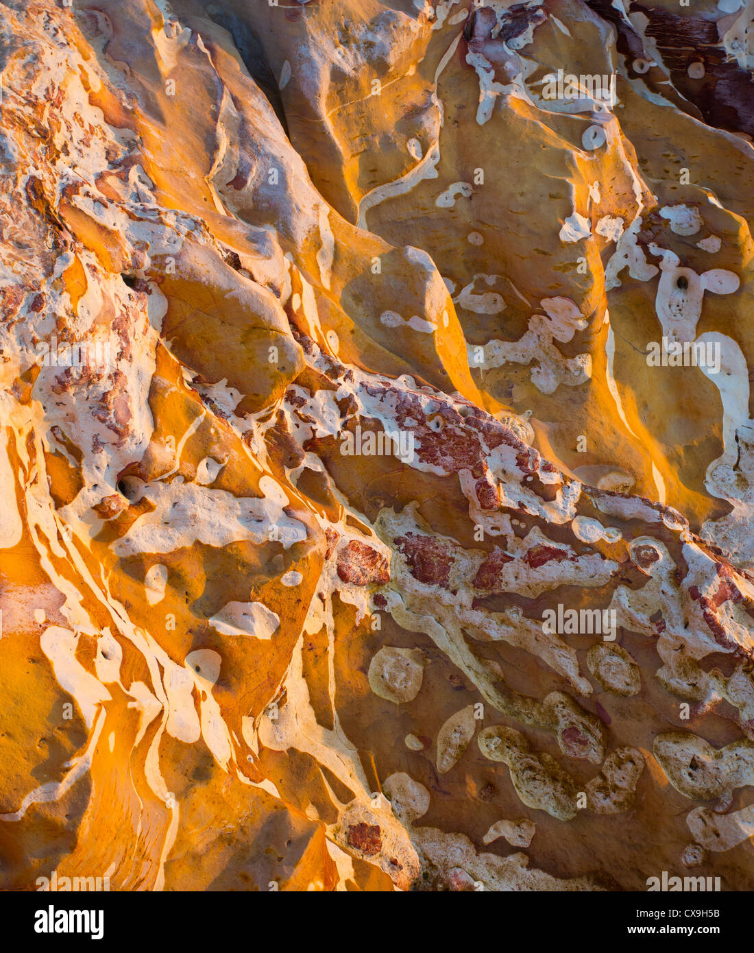 Warm sunlight on rocks on Darwin's coastline, Northern Territory, Australia Stock Photo