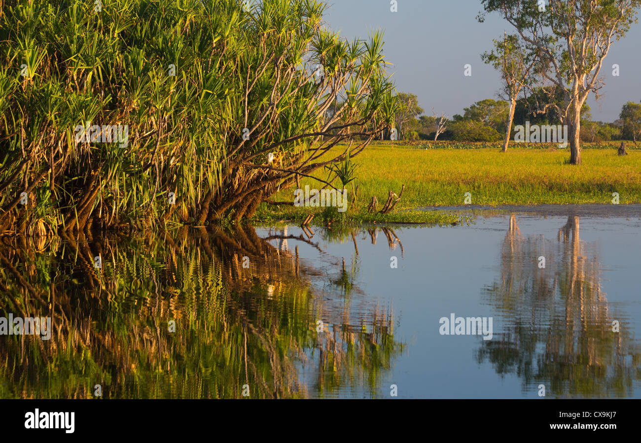 Yellow Water wetland, Kakadu National Park, Northern Territory Stock Photo