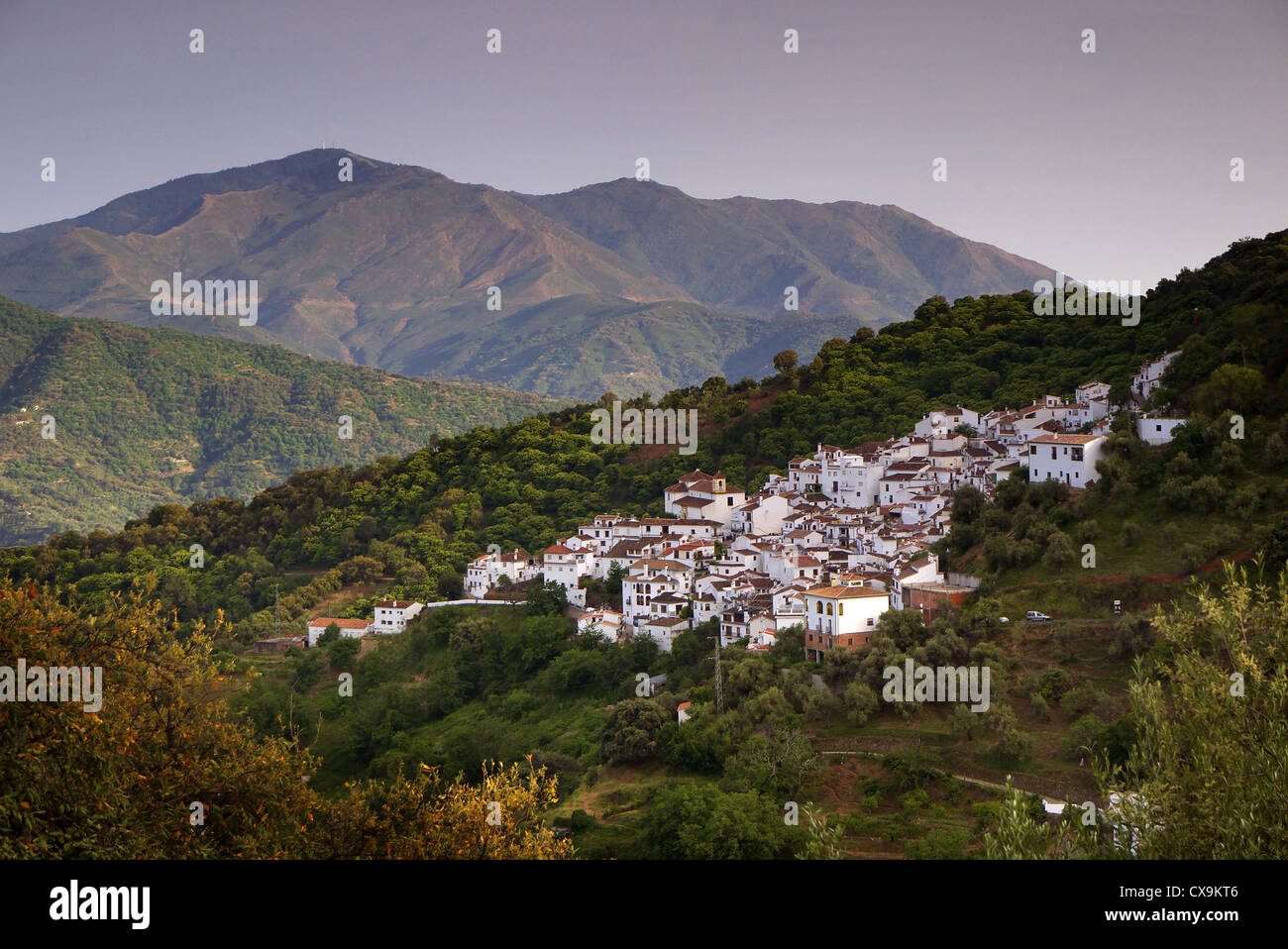 The village of Benalauria near Ronda in Andalucia, Spain. Stock Photo